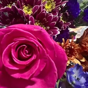 Meet your Posher, Tracey